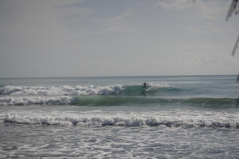 Bocas del Toro: Surf Trip with Board Rental and Transfer