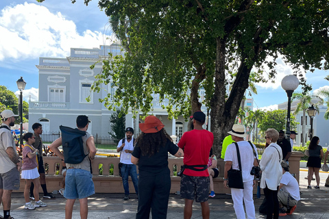 San Juan : une promenade guidée à travers l'histoire (avec guide régional)San Juan : une visite à pied à travers l'histoire - visite privée