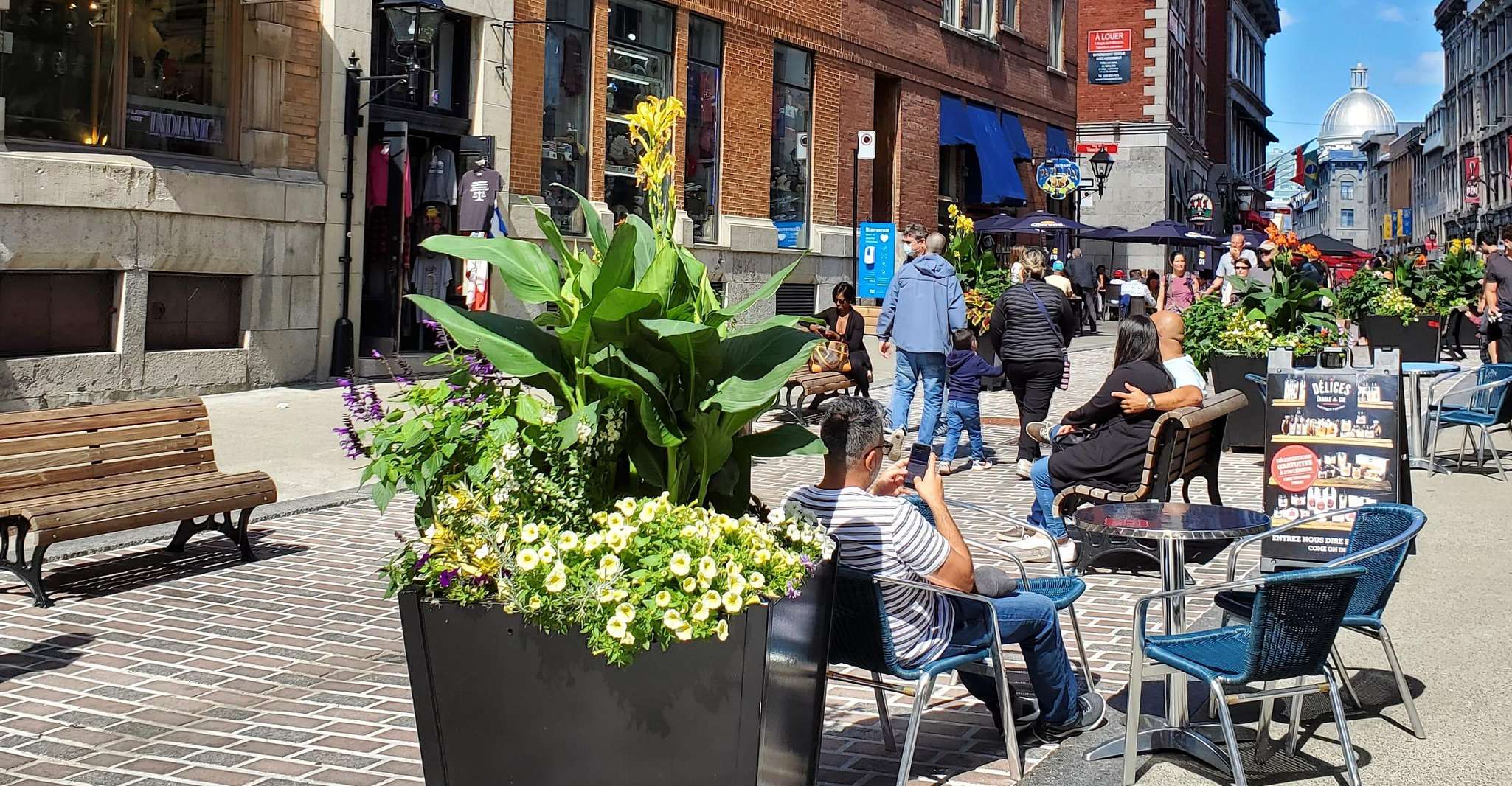 Montreal: Full-Day Small Group City Tour photo 19