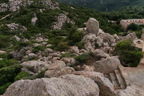 Costa Smeralda: Quad tour with views, the sea and adrenaline. Basic Quad Tour (2 people per quad)