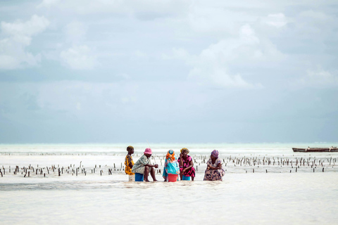 Zanzibar: Jozani Forest, Kuza Cave & Seaweed Farm Tour