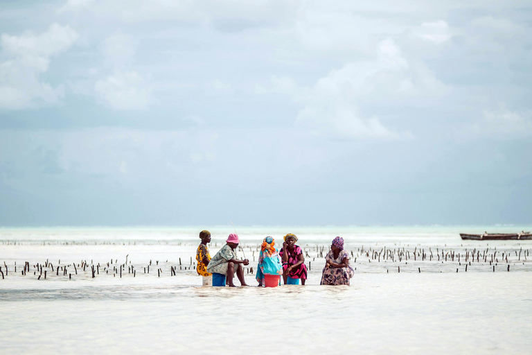 Zanzibar: Jozani Forest, Kuza Cave & Seaweed Farm Tour