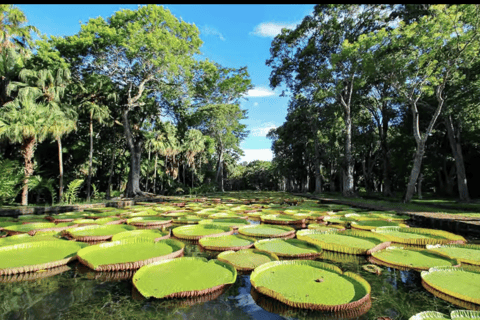 Mauritius: Private North Island Tour with Guide English North Discovery Tour