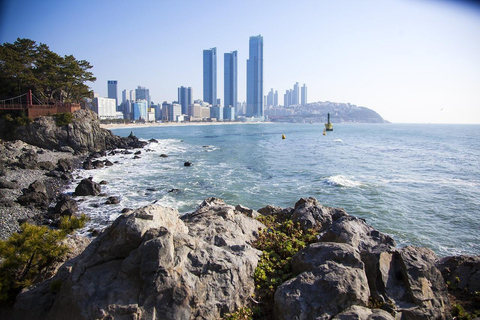 Busan Private tour: get the best out of Busan!