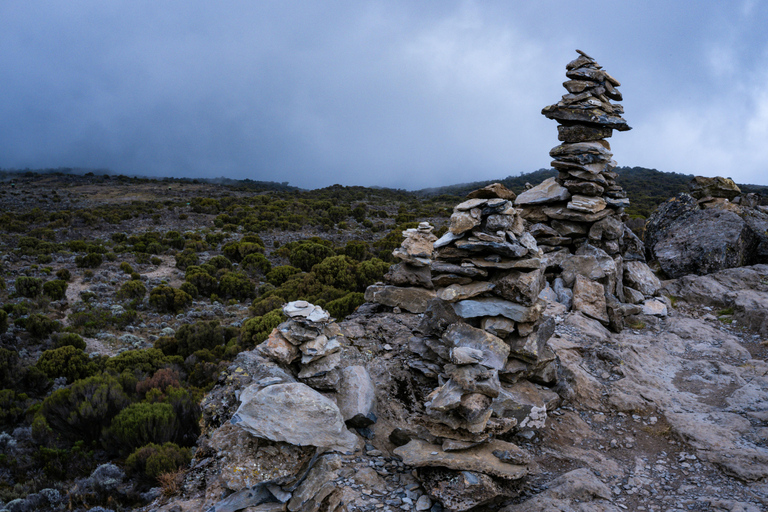 Kilimanjaro: 6-Day Lemosho Route Budget Group Hiking Tour