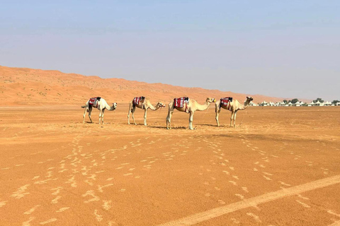 Lyxig ökensafari med övernattning i Salalah