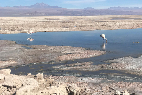 San Pedro de Atacama : Combo d'activités de 3 jours avec 4 excursions