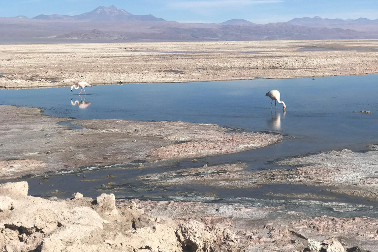 San Pedro de Atacama: 3-daagse activiteiten combo met 4 tours