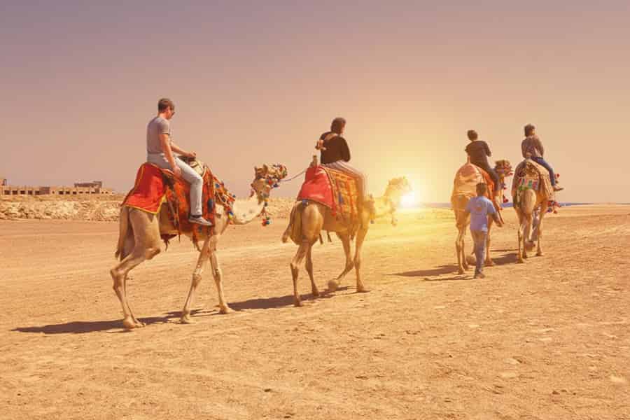 Hurghada: Kamelritt am Meer und in der Wüste mit Abendessen, Show und Sternenguckerei. Foto: GetYourGuide