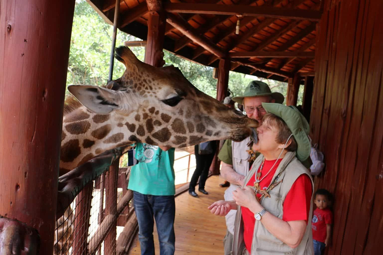 Nairobi: Giraffecentrum, Olifantenweeshuis en Karen Blixen