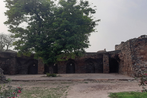 Los cuentos de Djinn: Fuerte Feroz Shah Kotla