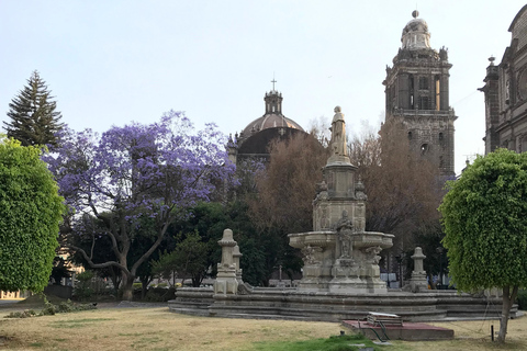 Mexico : Visite VIP du centre historique avec le Templo Mayor ...