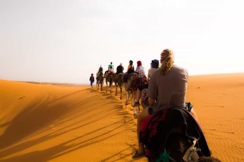 Merzouga : Nuit en camp de désert Balade à dos à chameau, dîner et spectacle - dromadaire