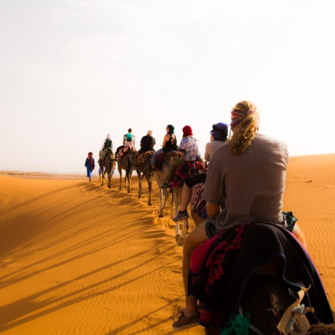 Merzouga : Nuit en camp de désert Balade à dos à chameau, dîner et spectacle