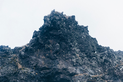 Z Grundarfjörður: Półdniowa wycieczka na półwysep Snæfellsnes