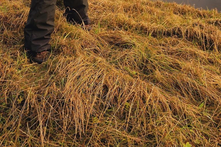 Private Tagestour an der Südküste mit GletscherwanderungPrivate Tagestour an die Südküste mit Gletscherwanderung