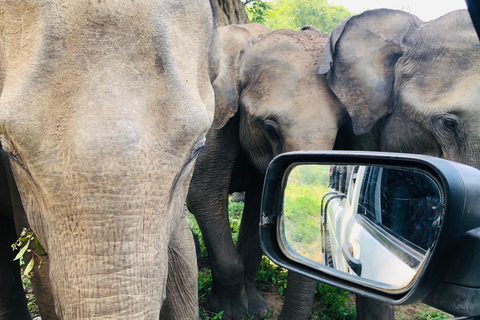 Sri Lanka SLTDA Licensed Car & Driver / 3 Days Minimum Privet Sedan Car & Driver | Minimum 3 Days | 180 KM