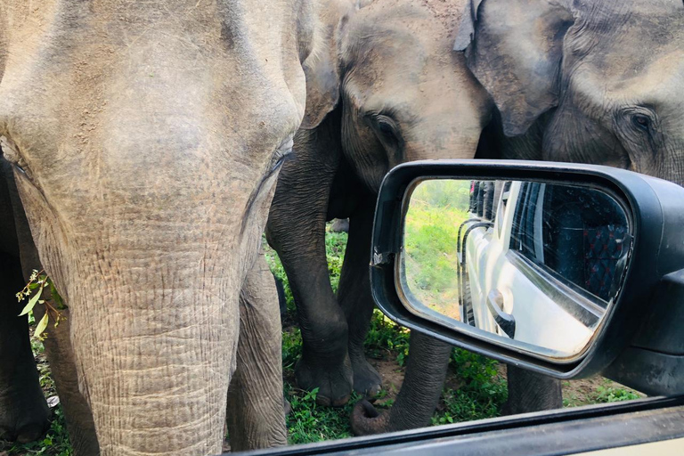 Sri Lanka SLTDA Licensed Car & Driver / 3 Days Minimum Privet Sedan Car & Driver | Minimum 3 Days | 180 KM