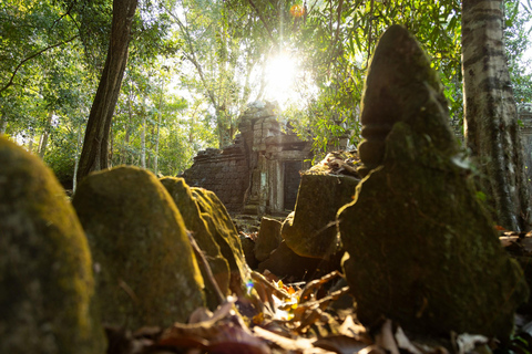 Siem Reap: Alba di Angkot Wat, guida e racconti con trasferimento