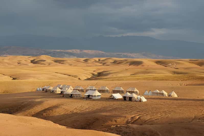 Balade à dos de chameau dans le désert d'Agafay et dîner - dromadaire