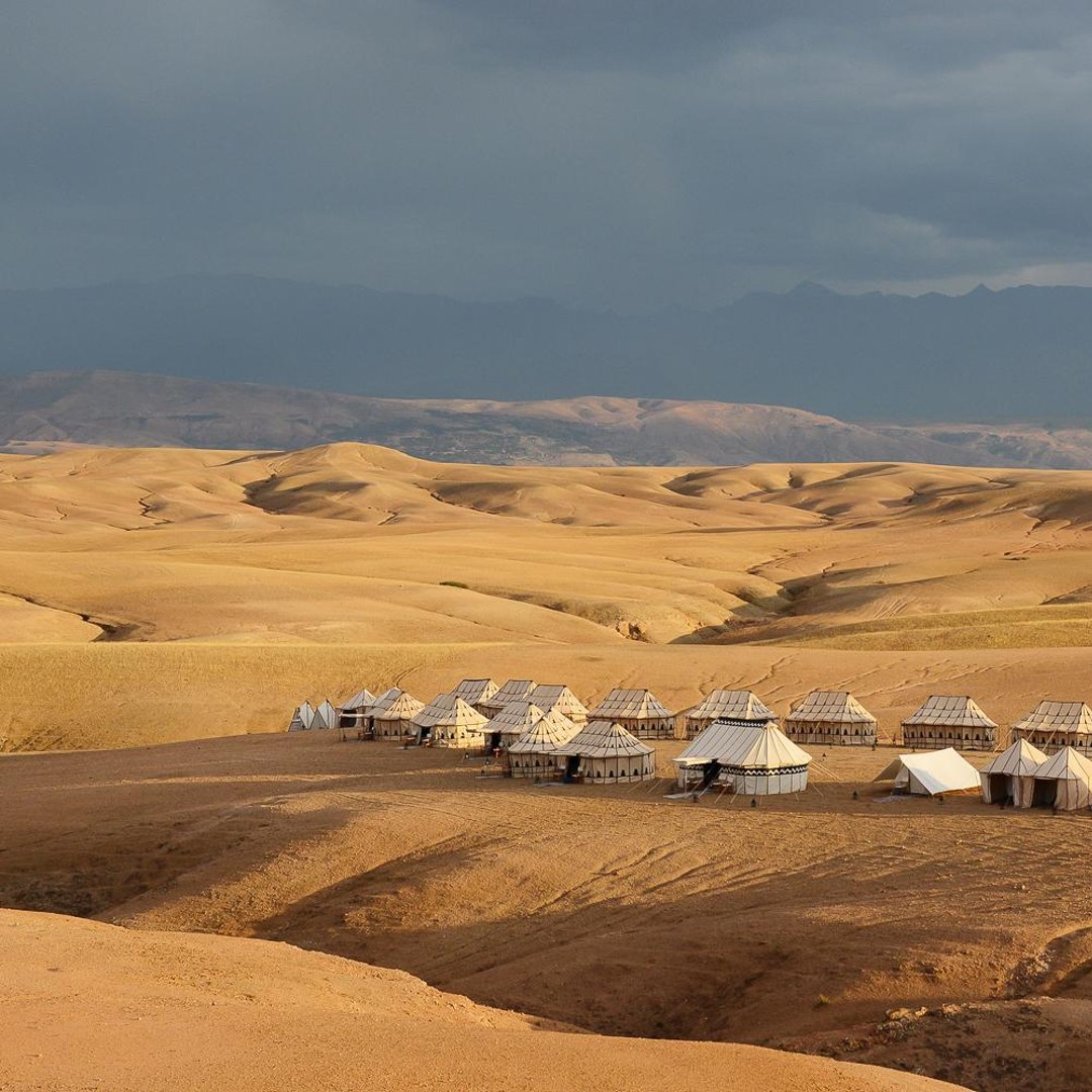 Balade à dos de chameau dans le désert d'Agafay et dîner - dromadaire