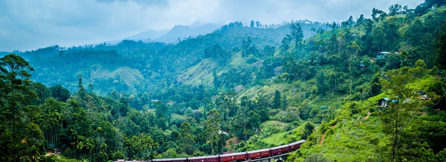 Ella : billet de train panoramique en troisième classe depuis/vers Kandy