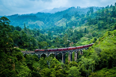 Viaje en tren panorámico desde/hacia Kandy con estancia de una noche