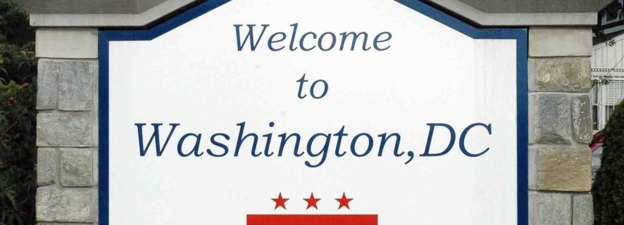 From NYC: Guided Day Trip to Washington DC by Van or Bus