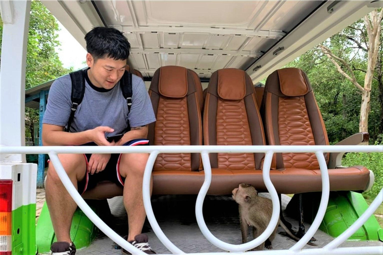 Ho Chi Minh: Eco-tour naar het mangrovebos van Can Gio PVT en SICGroepsreis