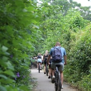 Hanoi: Bike Tour Through Hidden Gems and Banana Island