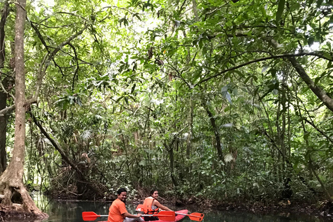 Krabi: Kajakpaddling och elefantmatning i Amazonas Klong Srakaew