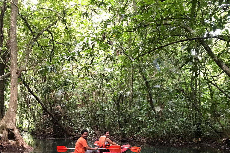 Krabi: Kayak amazzonico a Klong Srakaew e alimentazione degli elefanti