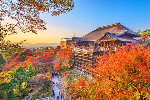 Kyoto Kiyomizu-dera,Nara Park och tempel UNESCO dagstur9:50 möte på Kyoto station