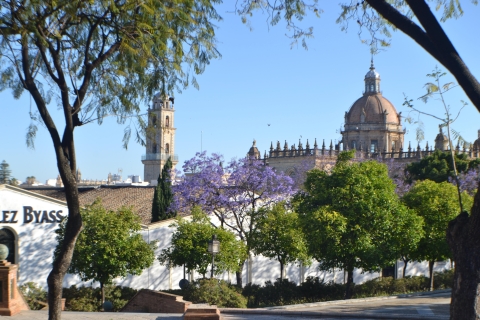 Jerez : visite citadine privée à pied