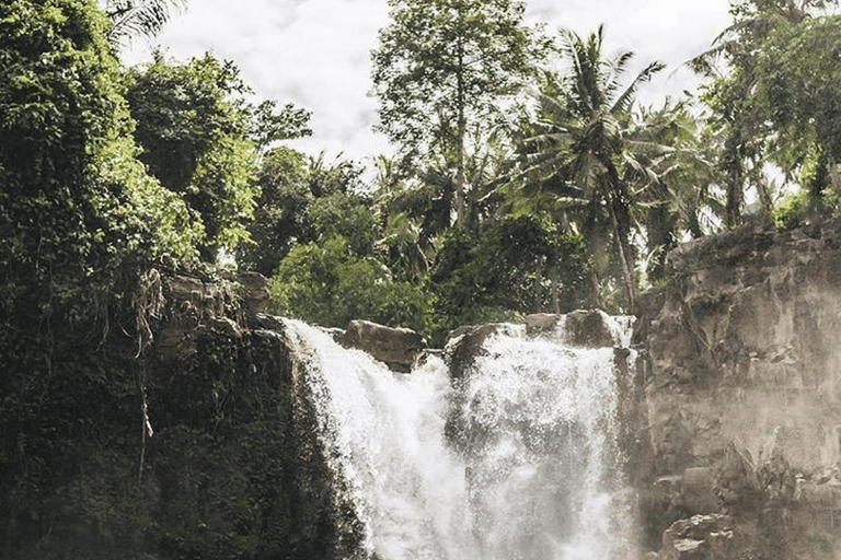 Ubud: Natura in primo piano, fauna selvatica, altalena e cascata
