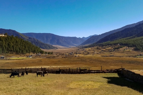 7 jours Le meilleur du Bhoutan