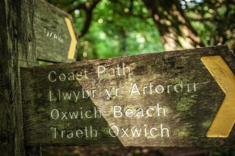 Wycieczka prywatna: Gower - Mumbles, Three Cliffs i Worms Head