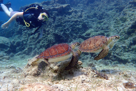 Paralimni, Protaras: Scuba Diving for Beginners! Best place