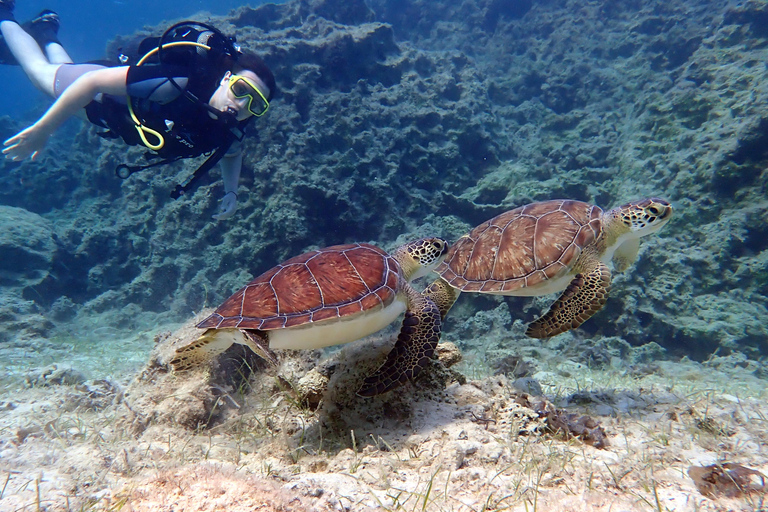 Paralimni, Protaras: Scuba Diving for Beginners! Best place