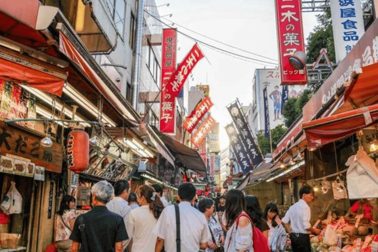 Tokyo Full Day Customizable Private Tour with English Guide