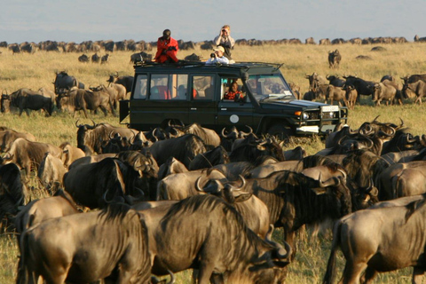 Kenya: 8-dagars safariturné från Nairobi