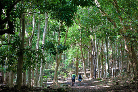 Mauritius nationalpark: Upptäck ön som den en gång var