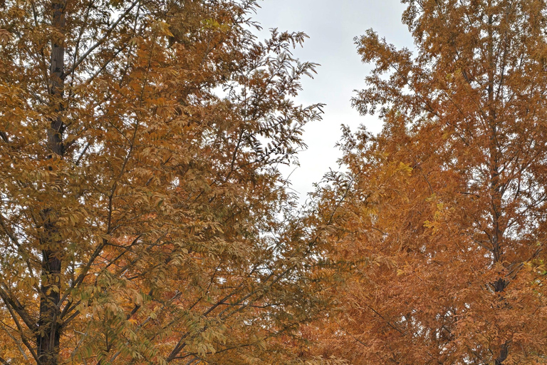 Seoul:Yangpyeong Day Trip with Dumulmeori & Yongmunsa Temple