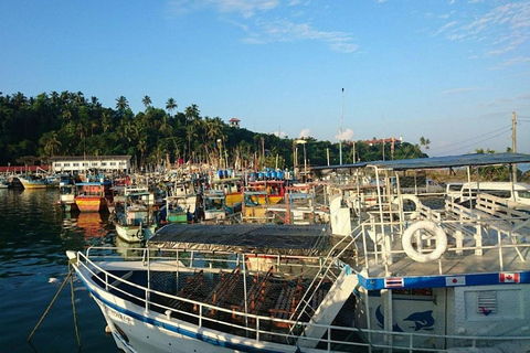 Mirissa: Whale & Dolphin Watching with Pickup & Breakfast Include Entry Ticket