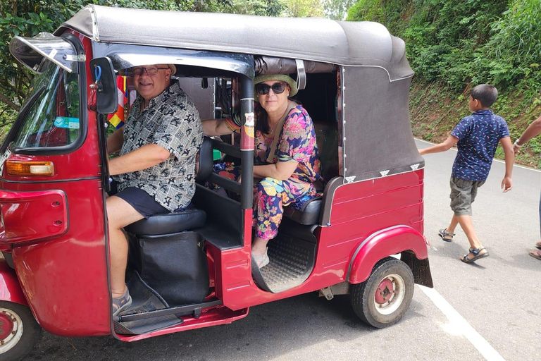 Kandy: Tuk-Tuk Sights, Culture, Shopping & Treatment