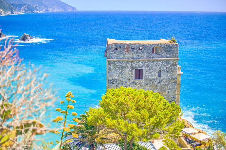 Florence : Excursion d&#039;une journée aux Cinque Terre et à Pise