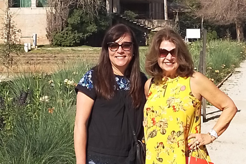 Santiago: Cousiño Macul Vineyard Premium Tasting Tour