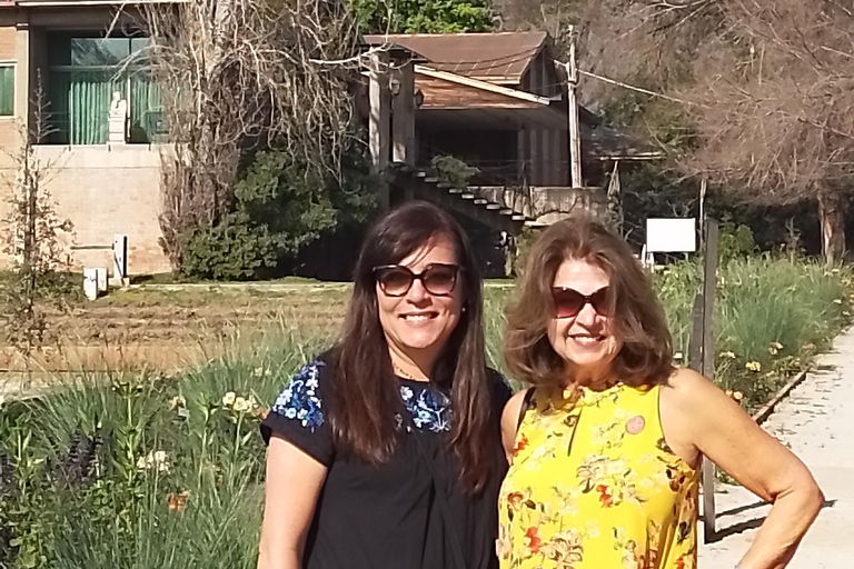 Santiago: Cousiño Macul Vineyard Premium Tasting Tour