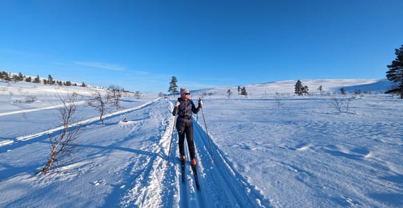 Saariselkä: Guided Cross-Country Ski Tour