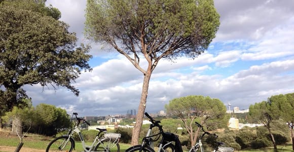 Madrid's River Side & Casa de Campo Electric Bike Tour
